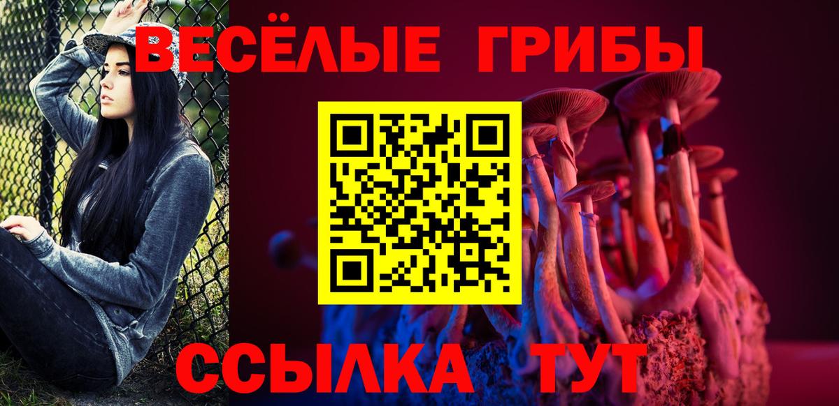 Псилоцибиновые грибы мицелий  Вход с VPN  Лыткарино  Галлюциногенные грибы MAGIC MUSHROOMS 